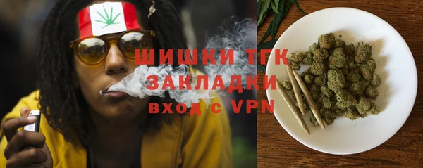 2c-b Осинники