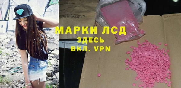 индика Армянск